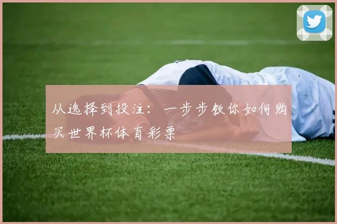 从选择到投注：一步步教你如何购买世界杯体育彩票