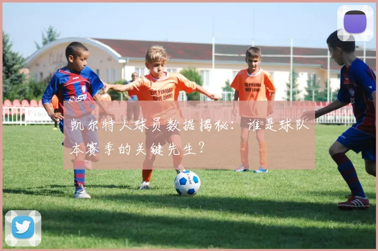 凯尔特人球员数据揭秘：谁是球队本赛季的关键先生？